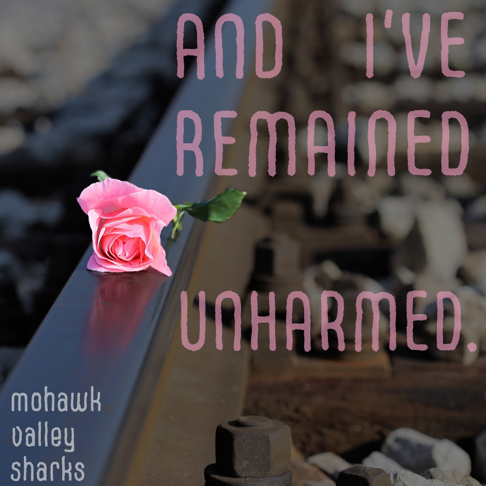A pink rose laying on a railroad track with the words, "AND I'VE REMAINED UNHARMED" and "Mohawk Valley Sharks" next to and below the rose.